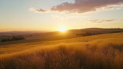 Obraz premium A golden sunset over a field of tall grass, the sun setting behind distant hills.