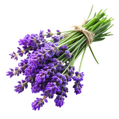Fototapeta premium Elegant lavender flower bunch isolated on white background, symbolizing tranquility, wellness, and natural fragrance.