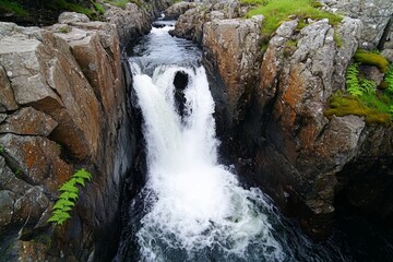 Fototapeta premium A rushing waterfall tumbling down rocky cliffs, surrounded by moss and ferns