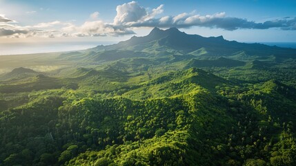 Fototapeta premium Aerial view of volcanic peaks towering above verdant tropical forests in Tahiti with the ocean glimmering in the distance
