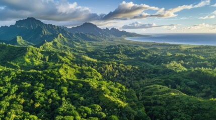 Obraz premium Aerial view of volcanic peaks and lush forests in Tahiti with the ocean visible in the background