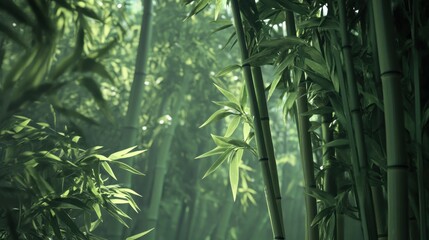 A lush green forest with tall bamboo trees. Concept of tranquility and serenity, as the bamboo forest appears to be untouched by human activity. The tall