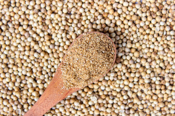 Coriander Powder on wooden spoon with a coriander seeds background. Food Ingredients