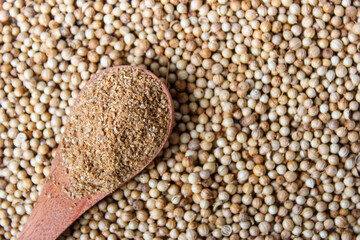Coriander Powder on wooden spoon with a coriander seeds background. Food Ingredients
