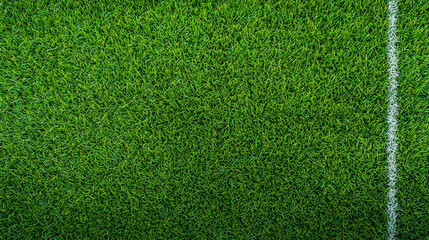Green Artificial Turf Field with White Line: A close-up texture shot of artificial grass, featuring a crisp white line dividing the field, perfect for creating a sporty and energetic backdrop.  