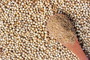 Coriander Powder on wooden spoon with a coriander seeds background. Food Ingredients