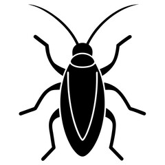 Beetle