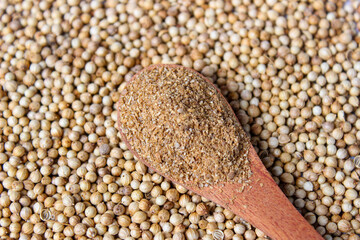 Coriander Powder on wooden spoon with a coriander seeds background. Food Ingredients