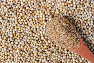 Coriander Powder on wooden spoon with a coriander seeds background. Food Ingredients
