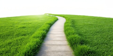 Obraz premium Grass path isolated on background. rendering, grass, path, isolated,background,rendering, nature, greenery, walkway