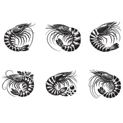 Obraz premium Shrimp vector