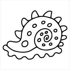 Illustration  Shell Line Art Coloring Page