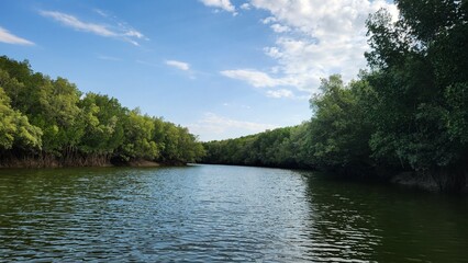 Buffalo Creek in Darwin, Northern Territory Australia © Imogen