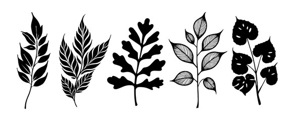 Set of leaves silhouette of beautiful plants, leaves, plant design. Vector illustration 30.	