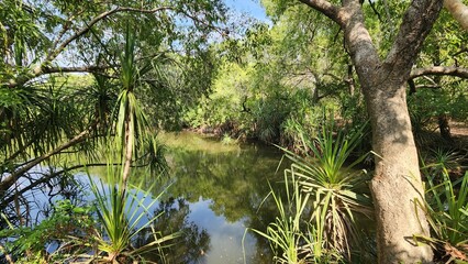Mary River in Kakadu, Northern Territory Australia