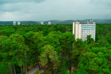 Lonely multi-storey buildings in the forest