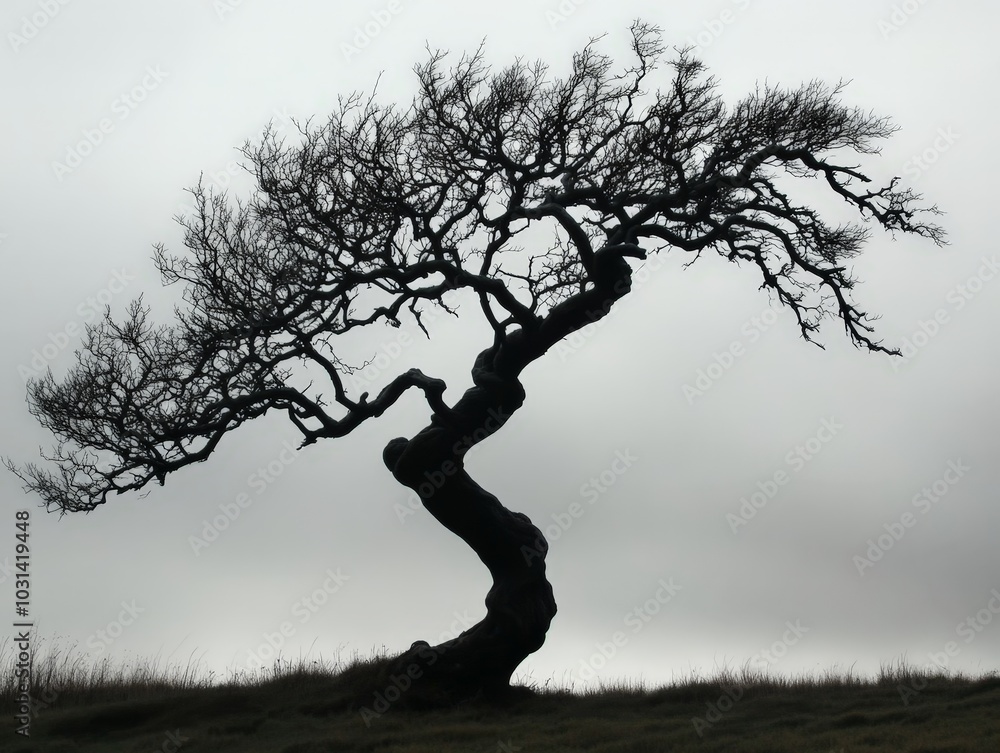 Aufkleber a tree with branches that twist and curl in unexpected ways, creating a unique silhouette