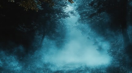 Misty Forest Path.