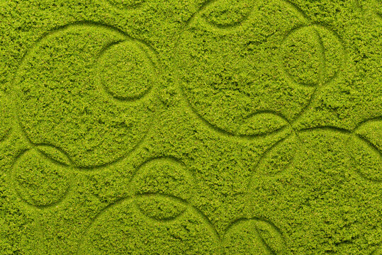 Texture of green wolffia background, Local asian food ingrediant for cooking healthy cuisine
