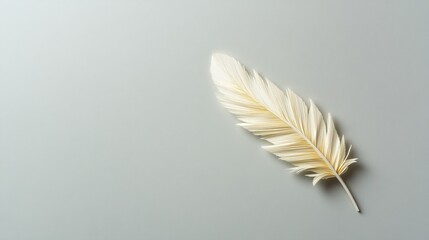 Obraz premium Delicate white feather on a soft grey background, showcasing fine details.
