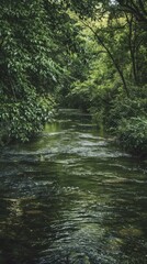Fototapeta premium A river with green water and trees in the background