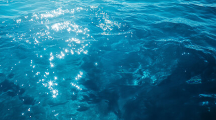 Fototapeta premium surface sea