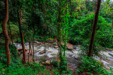 Natural blurred background of waterfalls, fast-flowing currents and water droplets from the wind blowing among the rocks and surrounded by big trees, spontaneous beauty