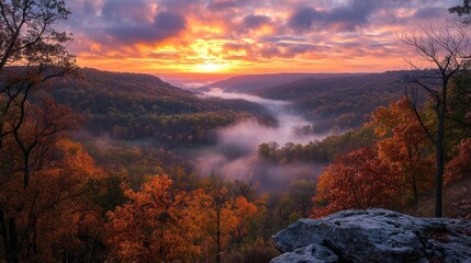 Fototapeta premium Breathtaking Fall Landscape Captured in Digital Photography, Showcasing Rich Colors and Light Mist for an Epic Autumn Experience.