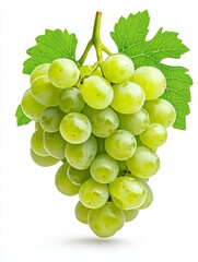 Obraz premium Fresh Green Grapes on Isolated White Background