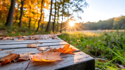 Serene autumn landscape with vibrant orange and red leaves sunlight filtering through the trees and a wooden path leading into the peaceful lush forest