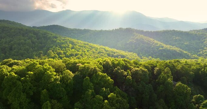 Evening landscape in Appalachian mountains. Woods nature in summer season. Colorful forest in Tennessee
