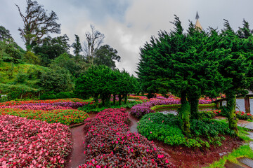 Obraz premium A natural background on a high mountain overlooking a beautiful terraced green rice field, surrounded by holiday homes and various flowers. The wind blows cool and comfortable.
