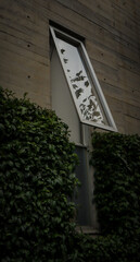 Ventana y un reflejo contrastante