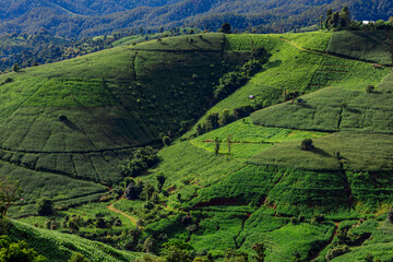 Wallpaper from the top of the mountain, overlooking the panorama, with the wind blowing all the time, fresh air, is a viewpoint that adventurers regularly visit.