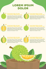 durian infographic illustration design template in flat style