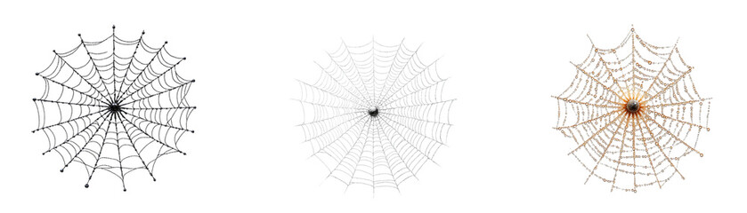 Obraz premium Intricate spider webs with contrasting colors and designs, showcasing nature's artistry.