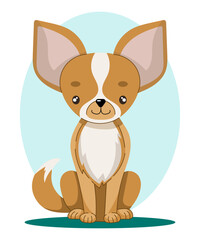 Chihuahua. Vector illustration of sitting dog in flat style.