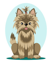 Yorkshire terrier. Vector illustration of sitting dog in flat style.