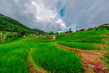 Fototapeta premium Wallpaper from the top of the mountain, overlooking the panorama, with the wind blowing all the time, fresh air, is a viewpoint that adventurers regularly visit.