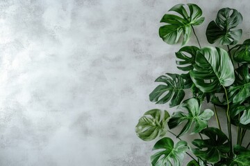 Tropical Leaves on a Grey Background