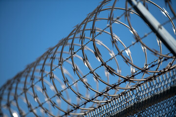 Barbed wire on the fence. Barbed wire fence delimiting the border of safe area. Security,...