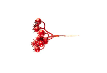 Artificial berries on a wire for needlework and decoration of gifts, wreaths on white background