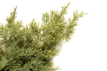 Fake fir tree branch for decorating of bouquets and home