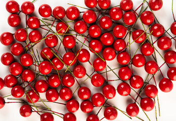 Artificial berries on a wire for needlework and decoration of gifts, wreaths on white background