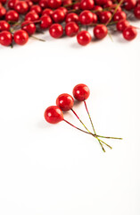 Artificial berries on a wire for needlework and decoration of gifts, wreaths on white background