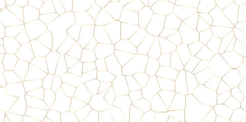 Abstract white broken stained glass background design with colorful line. geometric polygonal background with different figures. low poly crystal mosaic background. triangle background pattern shape.