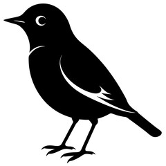  American robin silhouette vector illustration
