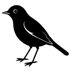  American robin silhouette vector illustration