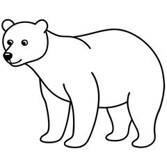  Bear line art vector illustration 