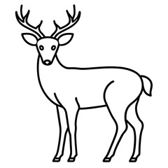  Deer line art vector illustration 